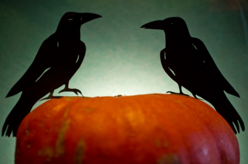 balade contée Halloween, Musée de Marsal, Cie ABOUDBRAS, programme Curieux de Nature, contes et musiques, contes et éducation nature