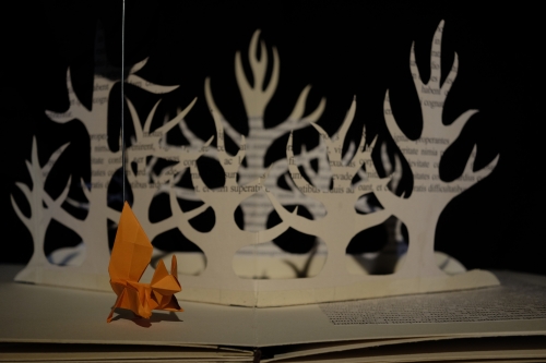 Petit arbre deviendra grand spectacle en théâtre pop-up et poésie pour la petite enfance, spectacle touts petits, contes et marionnettes petite enfance, cie ABOUDBRAS petite enfance spectacle papier&nbsp;